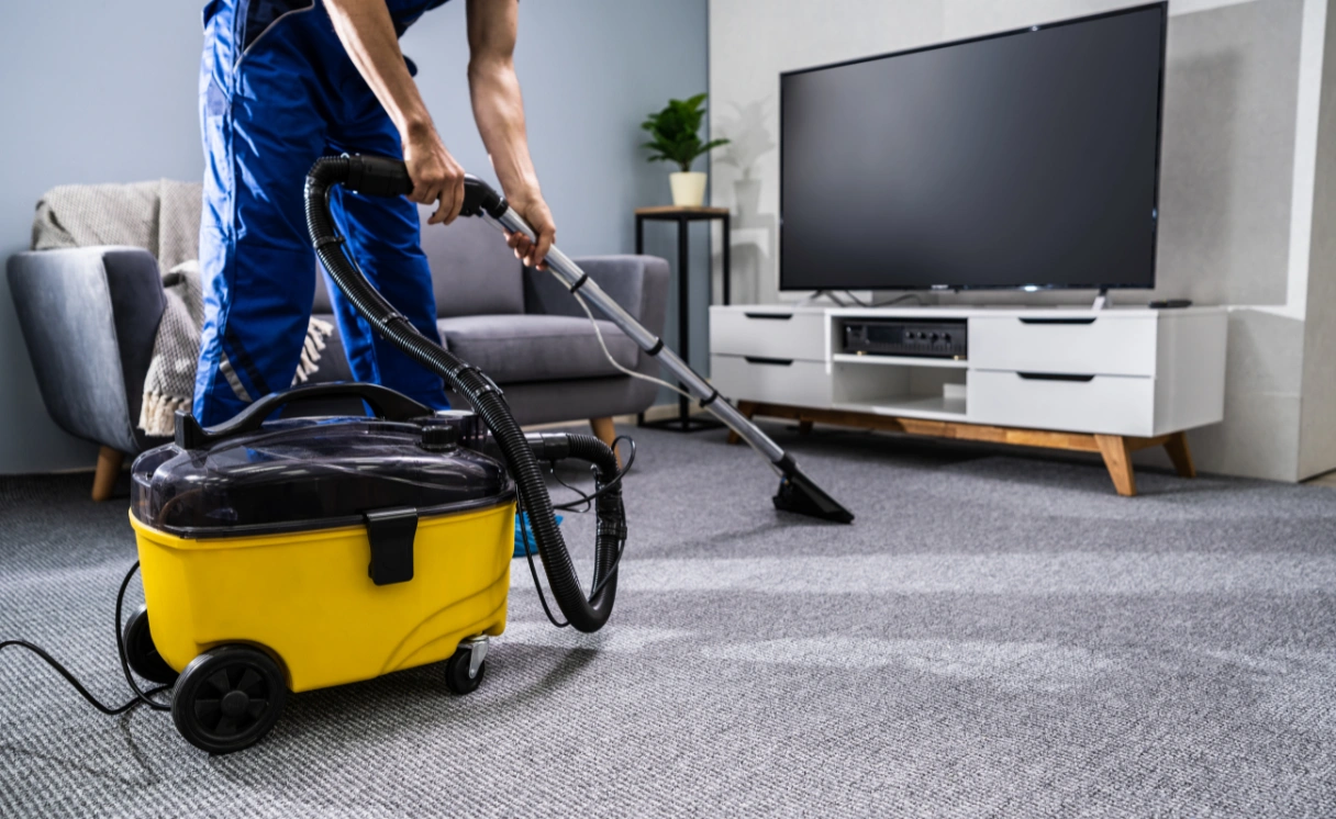 Extract Curtain Cleaning Glen Iris Contact Office